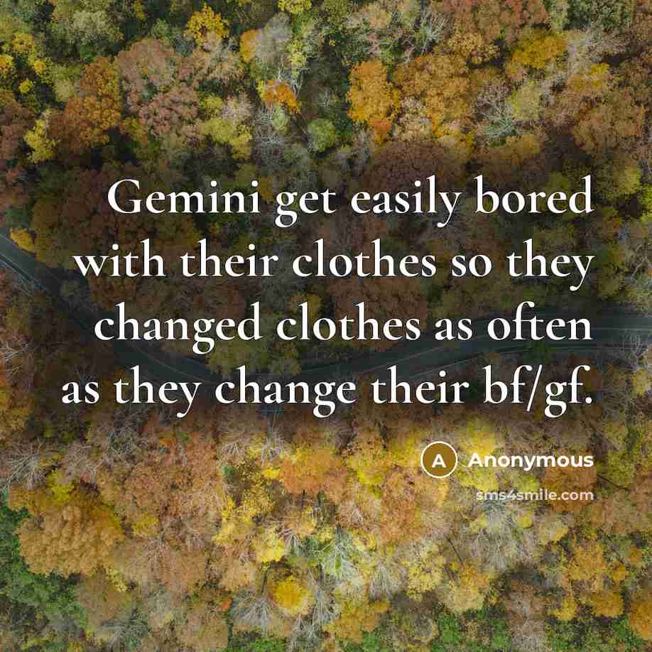 “Gemini get easily bored with their clothes so they changed clothes as often as they change their bf/gf.” quote by Anonymous