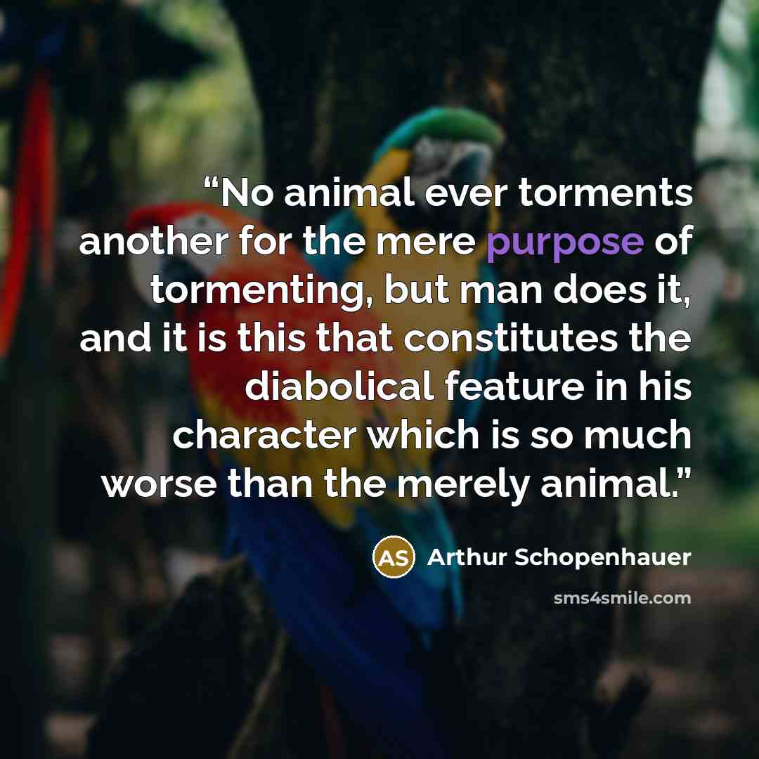 “No animal ever torments another for the mere purpose of tormenting, but man does it, and it is this that constitutes the diabolical feature in his character which is so much worse than the merely animal.” quote by Arthur Schopenhauer