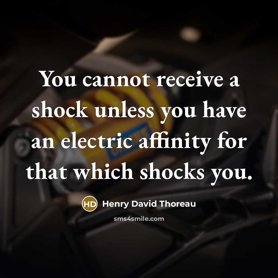 “You cannot receive a shock unless you have an electric affinity for that which shocks you.” quote by Henry David Thoreau