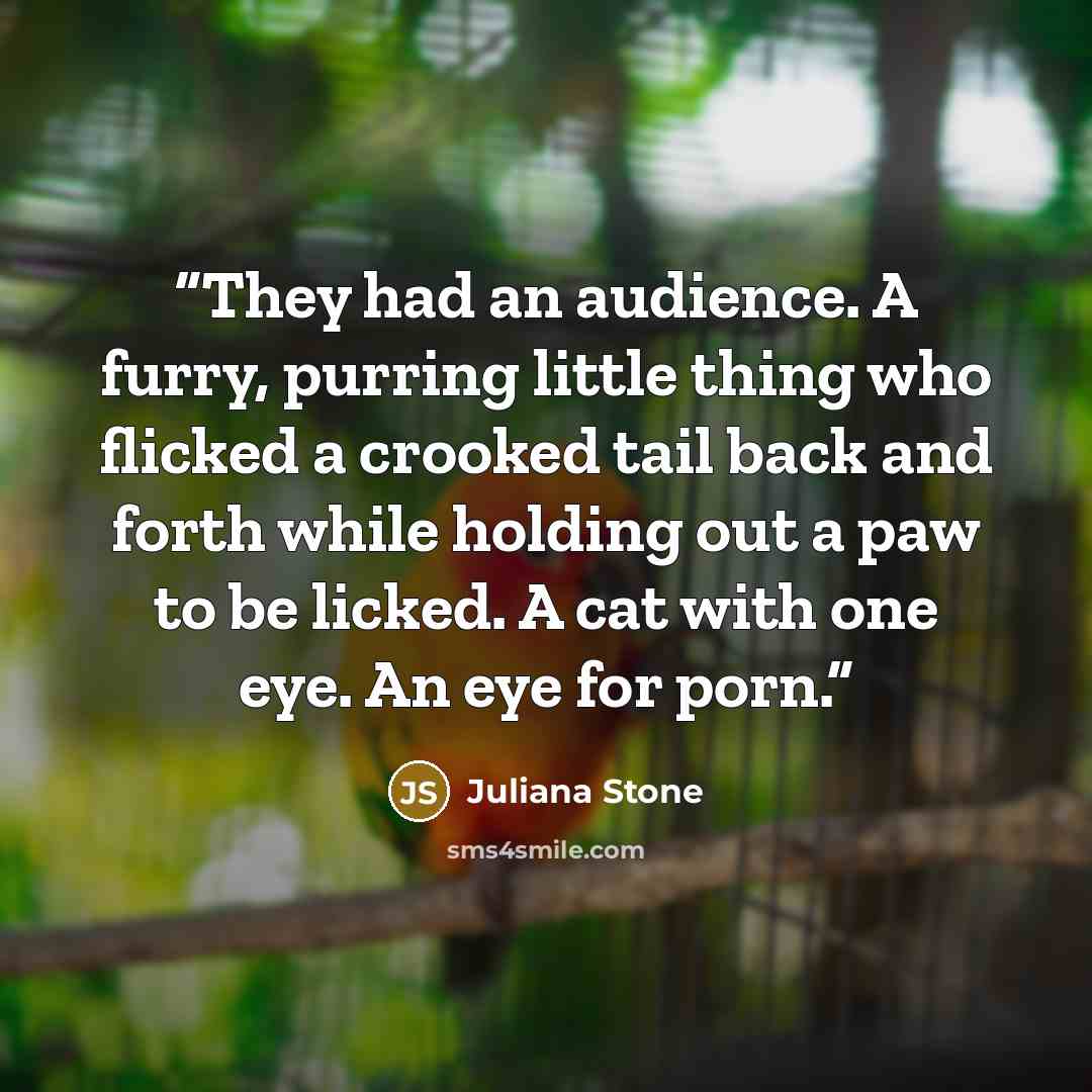 “They had an audience. A furry, purring little thing who flicked a crooked tail back and forth while holding out a paw to be licked. A cat with one eye. An eye for porn.” quote by Juliana Stone