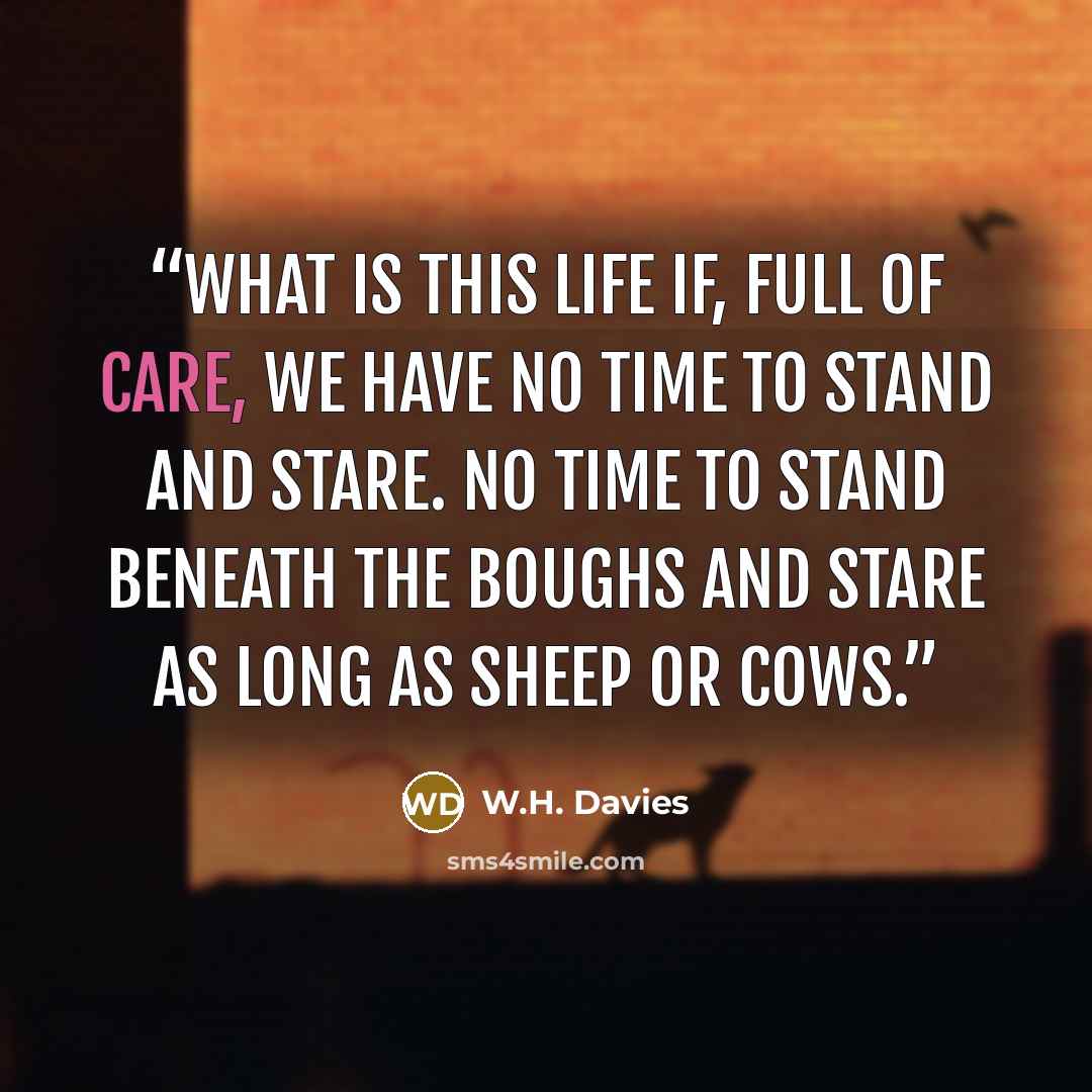 “What is this life if, full of care, We have no time to stand and stare. No time to stand beneath the boughs And stare as long as sheep or cows.” quote by W.H. Davies