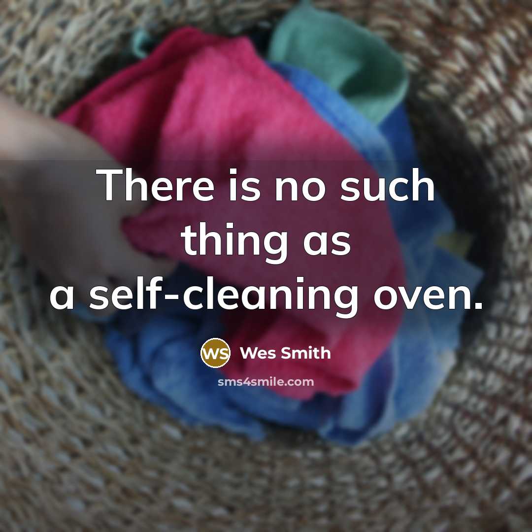 “There is no such thing as a self-cleaning oven.” quote by Wes Smith