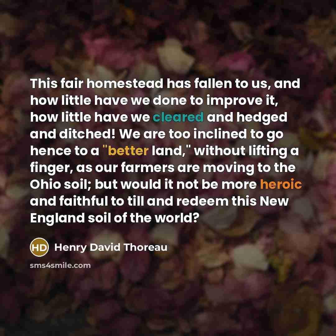 “This fair homestead has fallen to us, and how little have we done to improve it, how little have we cleared and hedged and ditched! We are too inclined to go hence to a "better land," without lifting a finger, as our farmers are moving to the Ohio soil; but would it not be more heroic and faithful…” quote by Henry David Thoreau