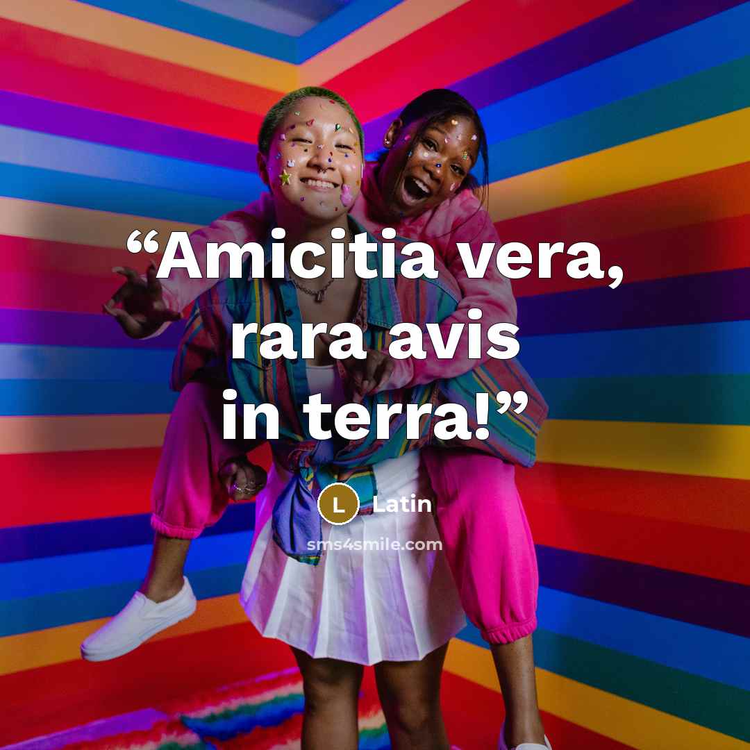 “Amicitia vera, rara avis in terra!” quote by Latin