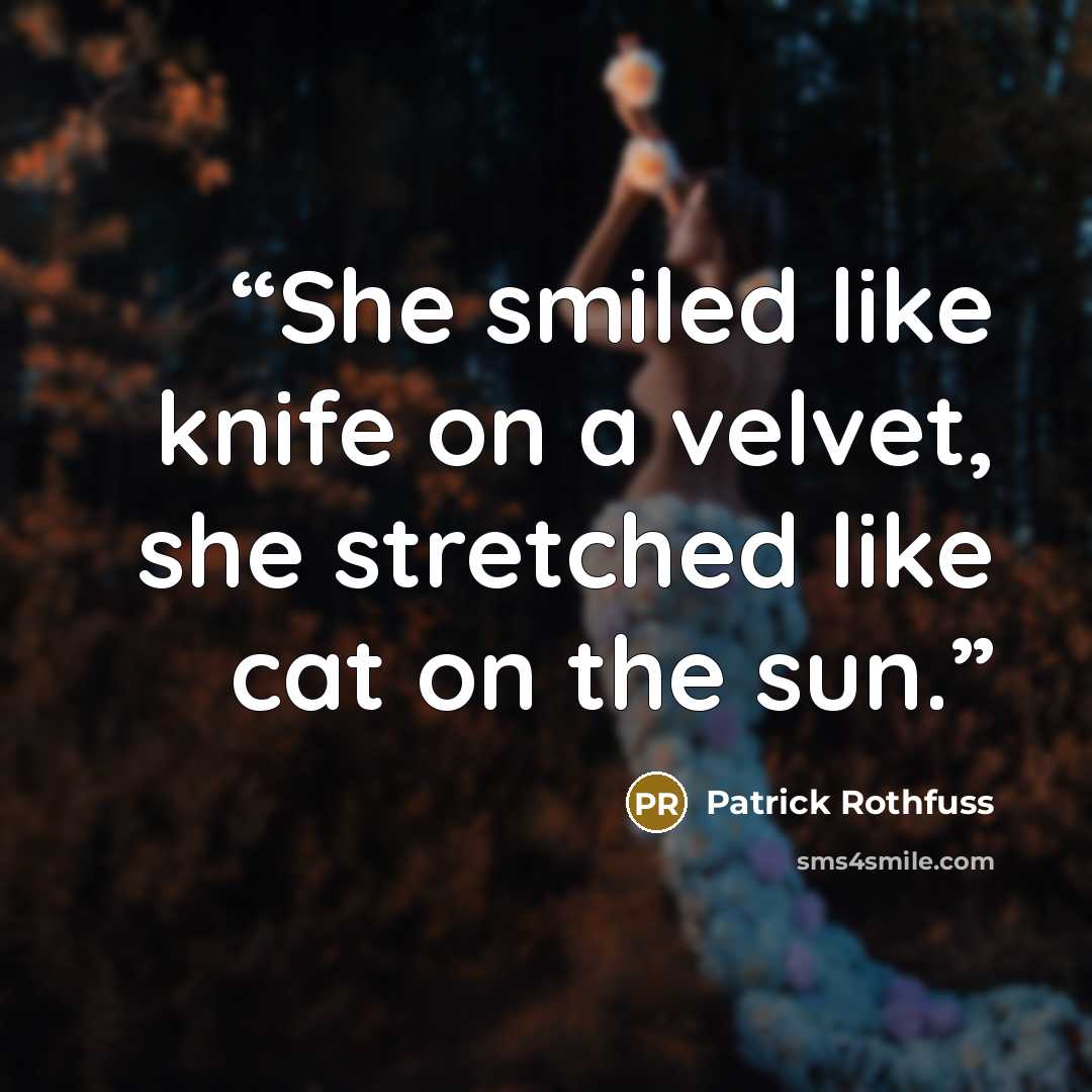 “She smiled like knife on a velvet, she stretched like cat on the sun.” quote by Patrick Rothfuss