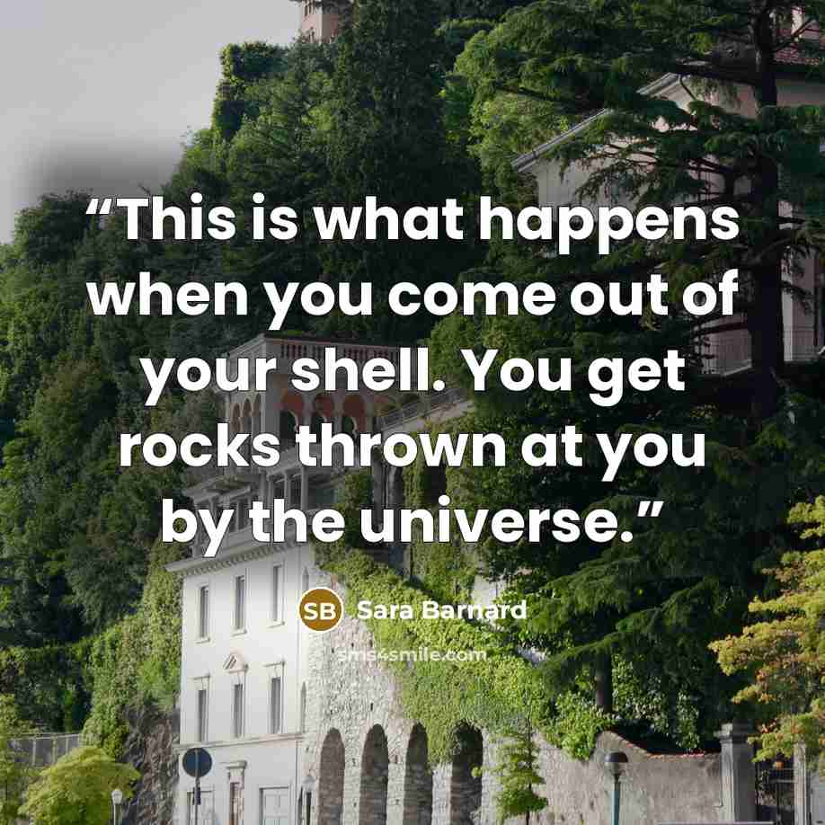 “This is what happens when you come out of your shell. You get rocks thrown at you by the universe.” quote by Sara Barnard