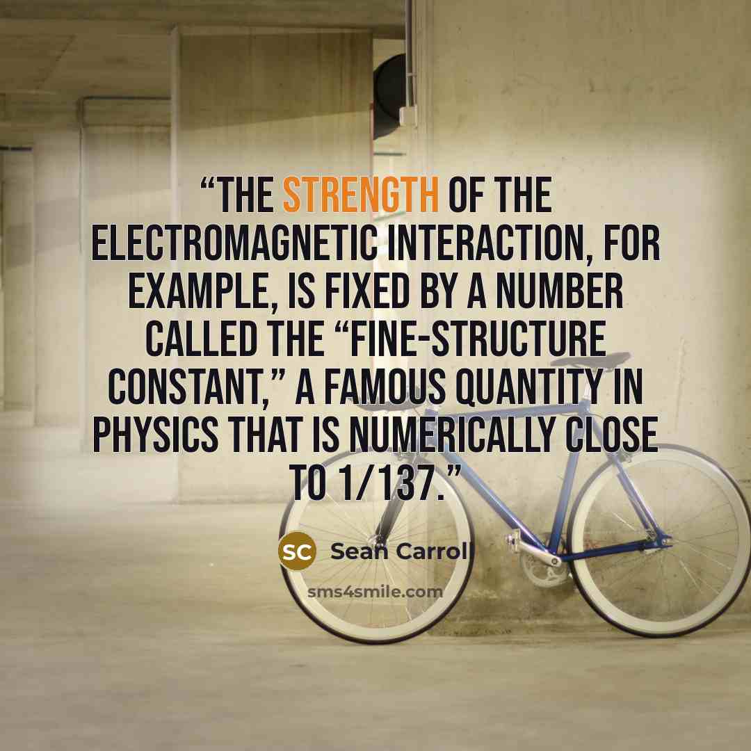 “The strength of the electromagnetic interaction, for example, is fixed by a number called the “fine-structure constant,” a famous quantity in physics that is numerically close to 1/137.” quote by Sean Carroll