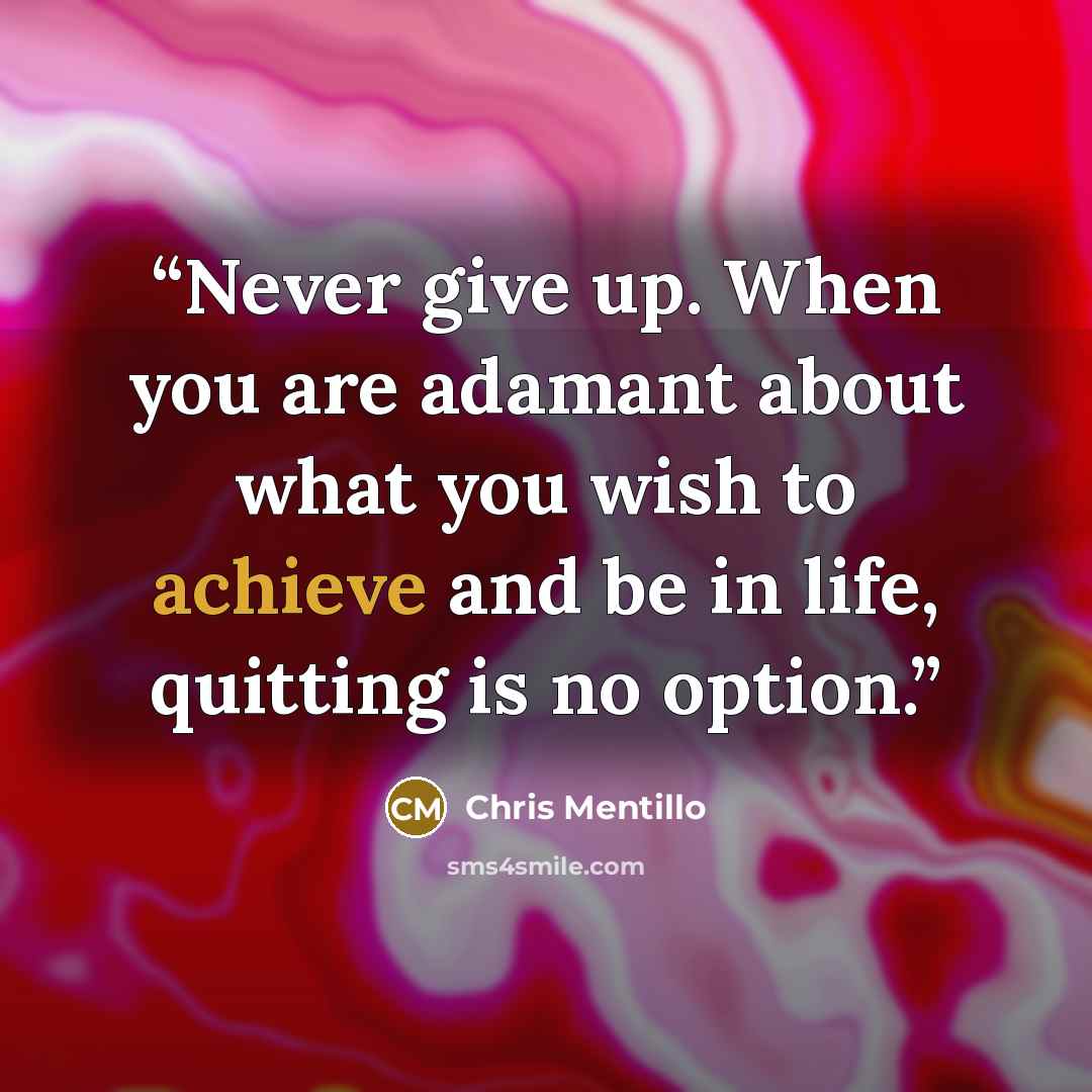 “Never give up. When you are adamant about what you wish to achieve and be in life, quitting is no option.” quote by Chris Mentillo