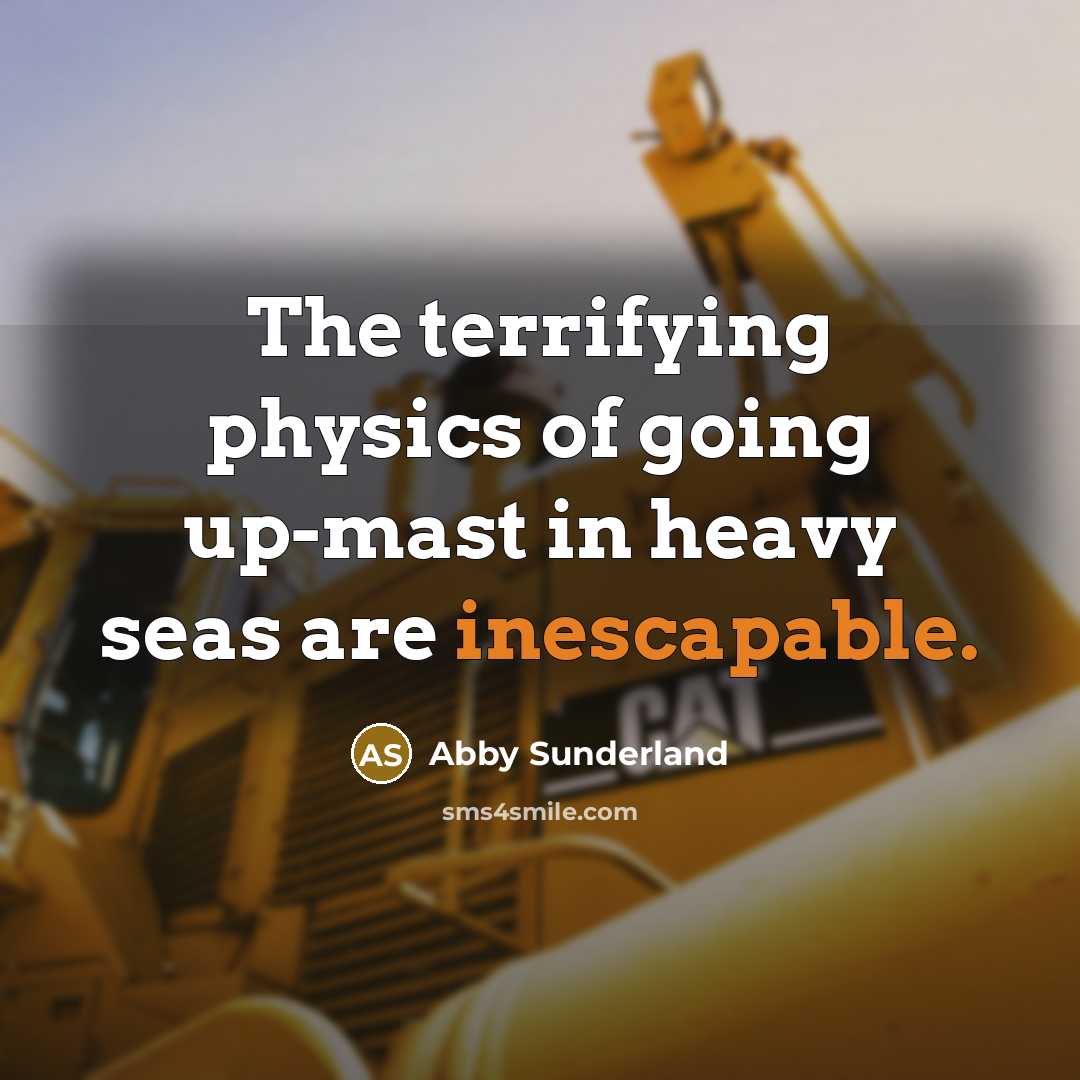 “The terrifying physics of going up-mast in heavy seas are inescapable.” quote by Abby Sunderland