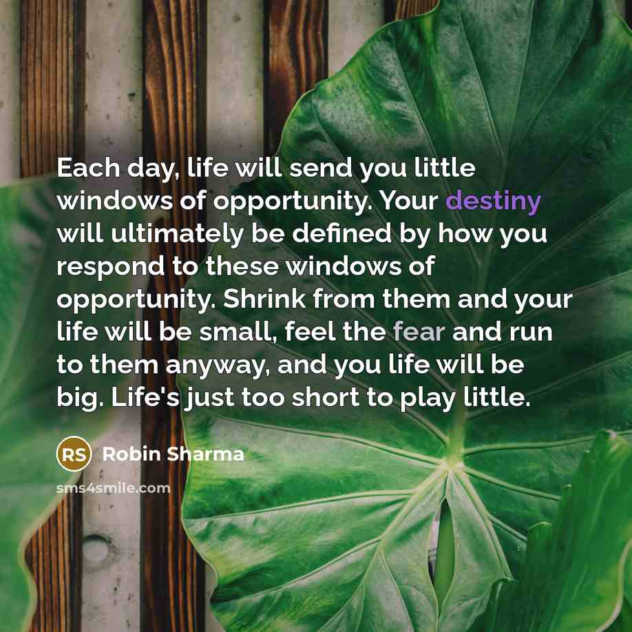 “Each day, life will send you little windows of opportunity. Your destiny will ultimately be defined by how you respond to these windows of opportunity. Shrink from them and your life will be small, feel the fear and run to them anyway, and you life will be big. Life's just too short to play little.” quote by Robin Sharma