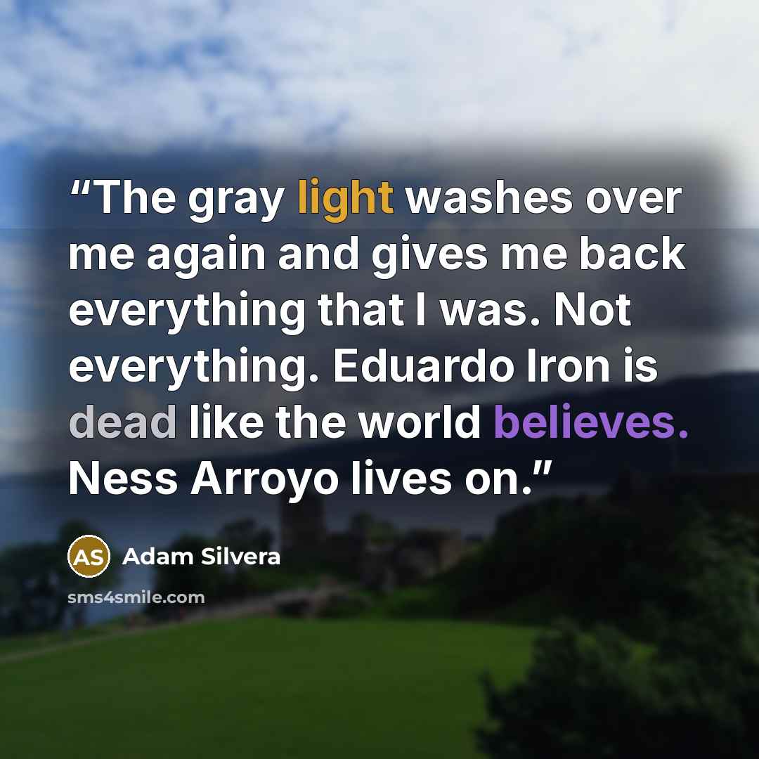 “The gray light washes over me again and gives me back everything that I was. Not everything. Eduardo Iron is dead like the world believes. Ness Arroyo lives on.” quote by Adam Silvera