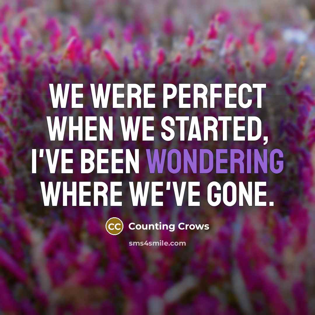 “We were perfect when we started, I've been wondering where we've gone.” quote by Counting Crows