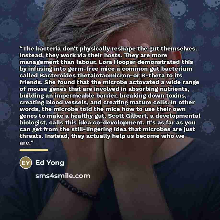 “The bacteria don't physically reshape the gut themselves. Instead, they work via their hosts. They are more management than labour. Lora Hooper demonstrated this by infusing into germ-free mice a common gut bacterium called Bacteroides thetaiotaomicron-or B-theta to its friends. She found that the…” quote by Ed Yong