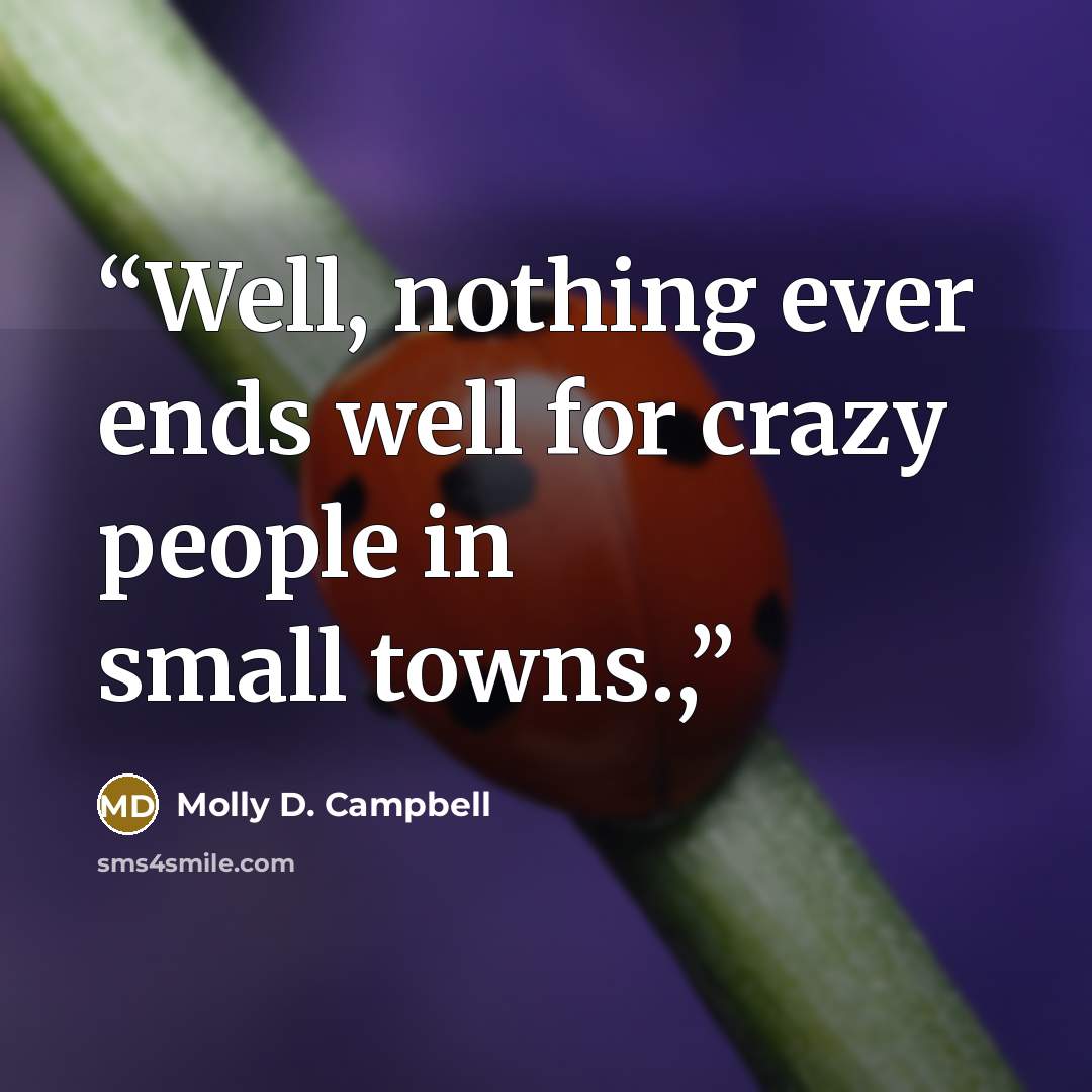“Well, nothing ever ends well for crazy people in small towns.,” quote by Molly D. Campbell