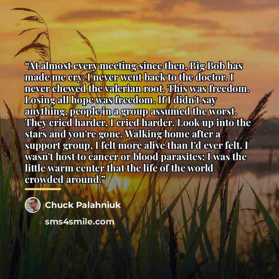 “At almost every meeting since then, Big Bob has made me cry. I never went back to the doctor. I never chewed the valerian root. This was freedom. Losing all hope was freedom. If I didn't say anything, people in a group assumed the worst. They cried harder, I cried harder. Look up into the stars…” quote by Chuck Palahniuk