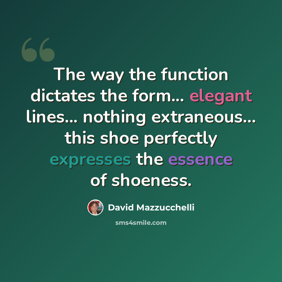 “The way the function dictates the form... elegant lines... nothing extraneous... this shoe perfectly expresses the essence of shoeness.” quote by David Mazzucchelli