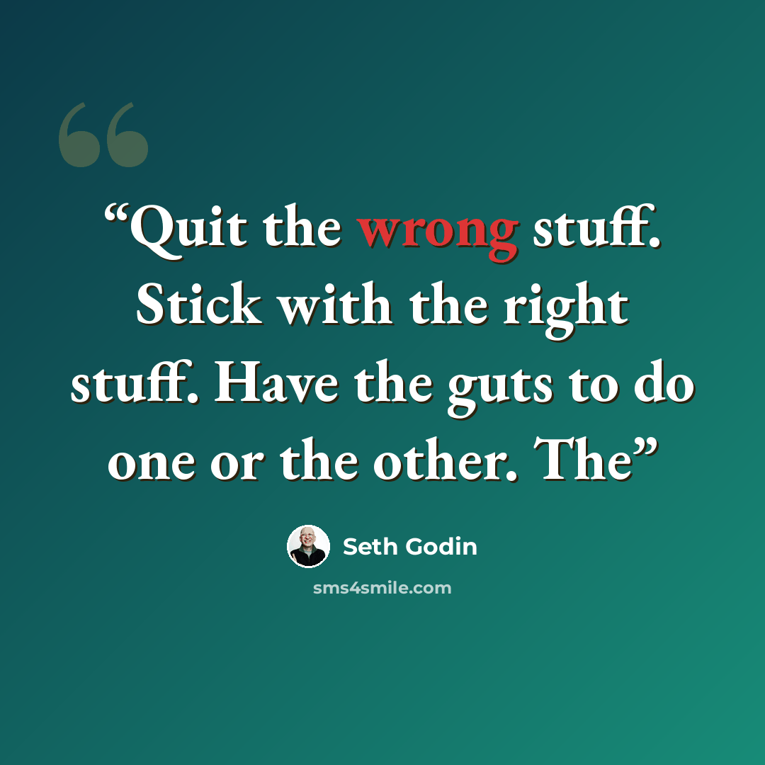 “Quit the wrong stuff. Stick with the right stuff. Have the guts to do one or the other. The” quote by Seth Godin