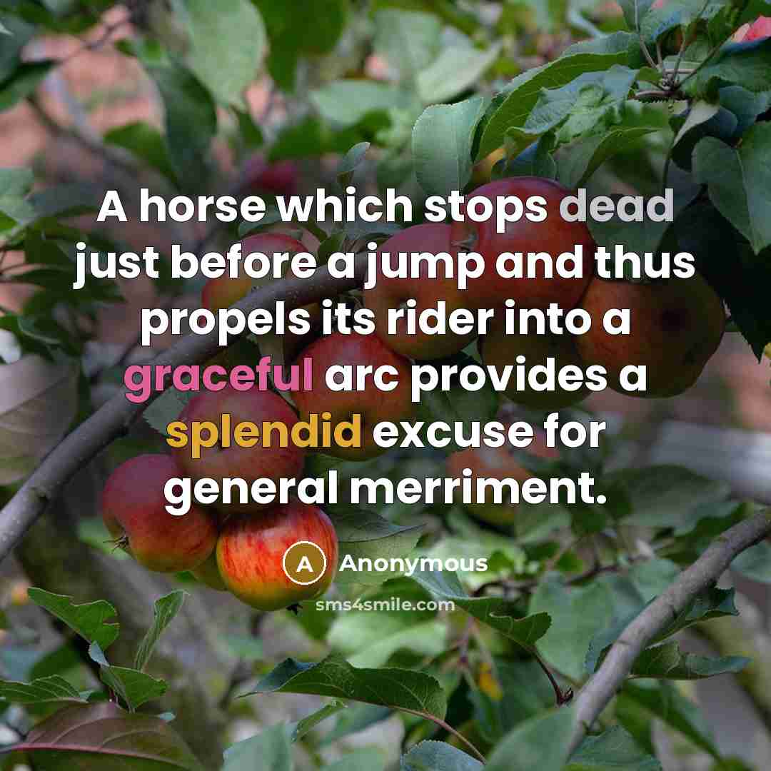 “A horse which stops dead just before a jump and thus propels its rider into a graceful arc provides a splendid excuse for general merriment.” quote by Anonymous