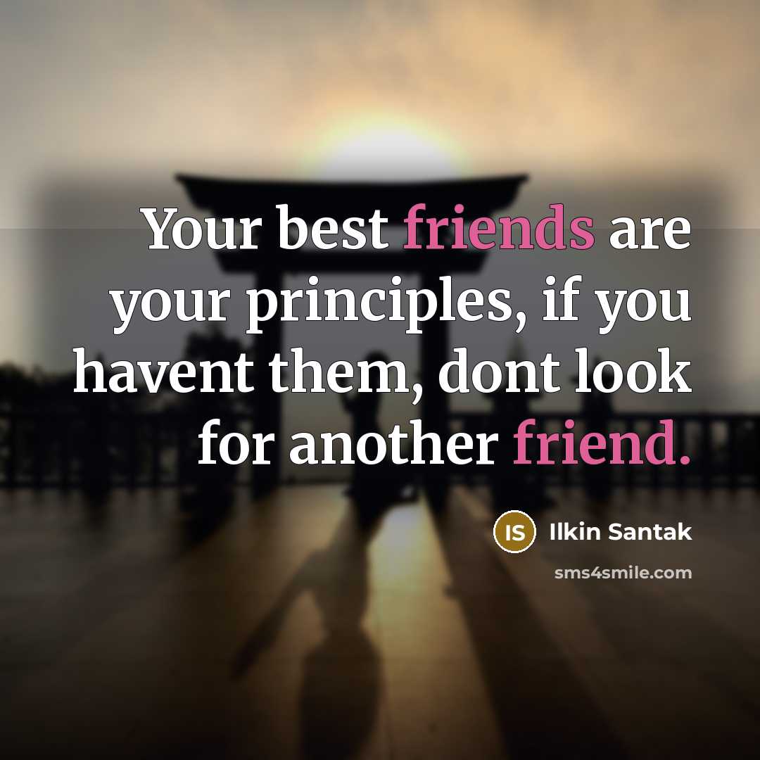 “Your best friends are your principles, if you havent them, dont look for another friend.” quote by Ilkin Santak