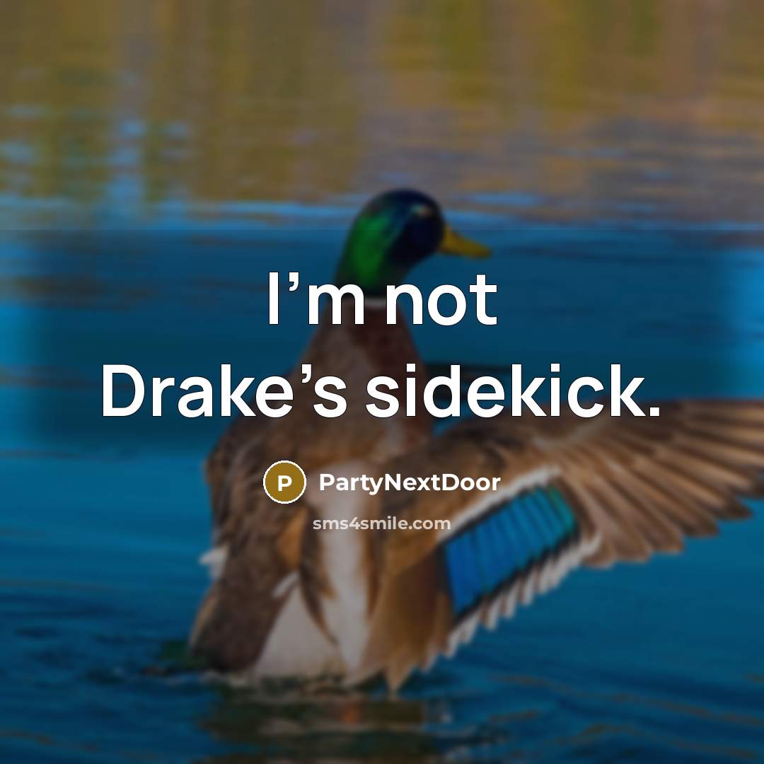 “I'm not Drake's sidekick.” quote by PartyNextDoor