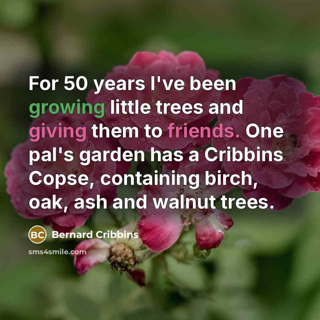 “For 50 years I've been growing little trees and giving them to friends. One pal's garden has a Cribbins Copse, containing birch, oak, ash and walnut trees.” quote by Bernard Cribbins