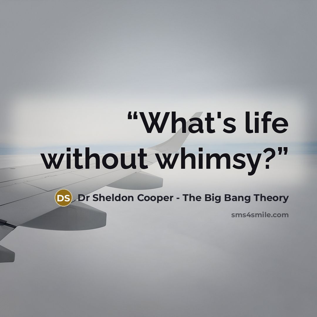 “What's life without whimsy?” quote by Dr Sheldon Cooper - The Big Bang Theory