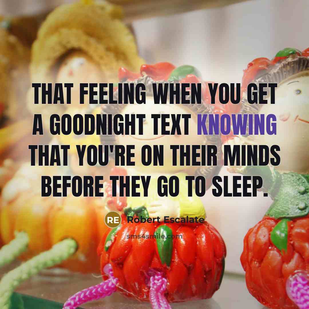 “That feeling when you get a goodnight text knowing that you're on their minds before they go to sleep.” quote by Robert Escalate