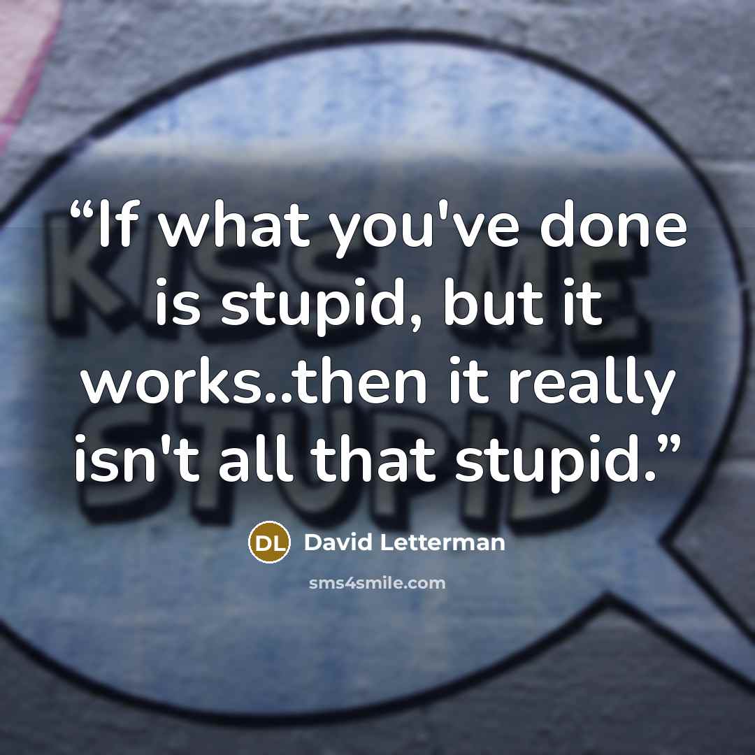 “If what you've done is stupid, but it works..then it really isn't all that stupid.” quote by David Letterman