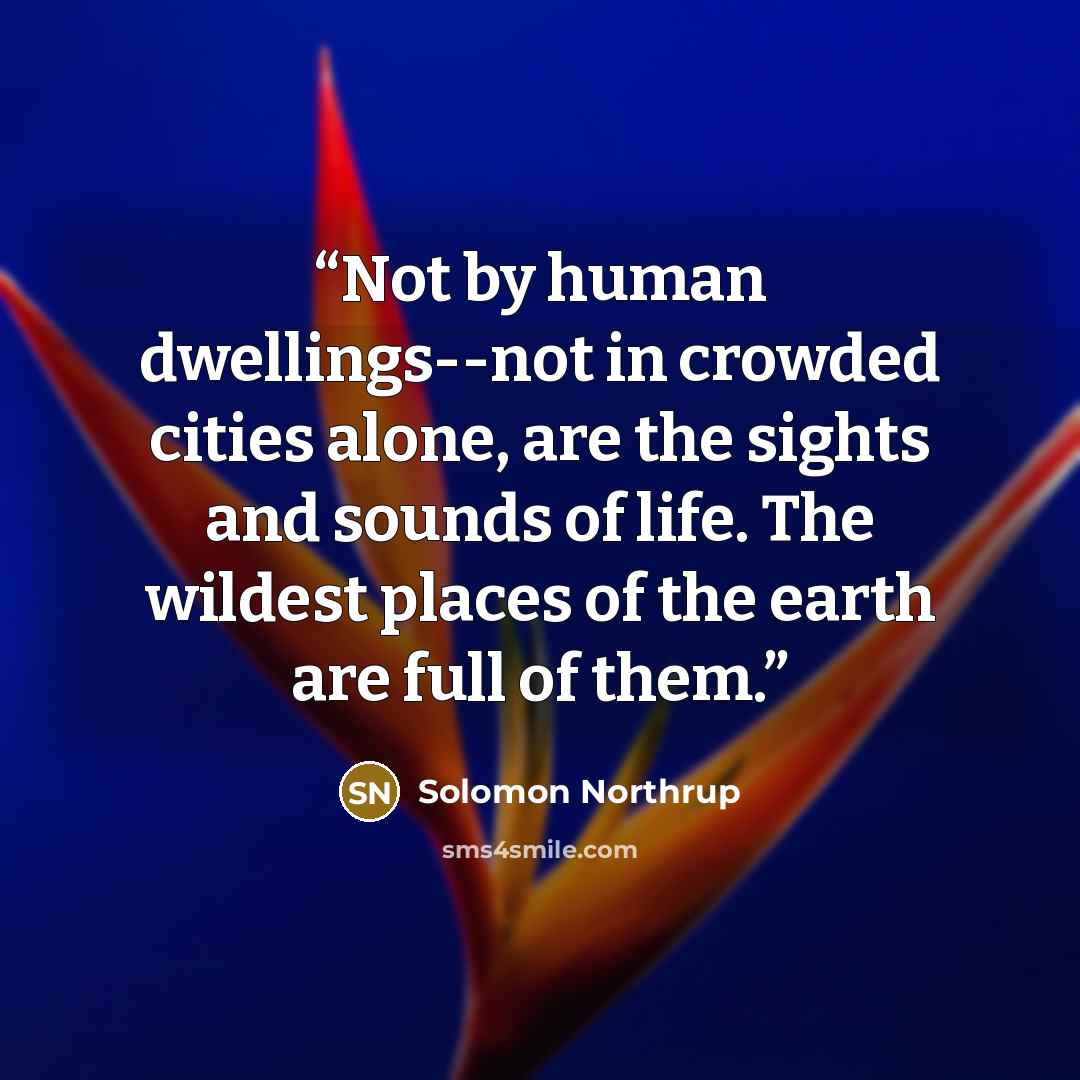 “Not by human dwellings--not in crowded cities alone, are the sights and sounds of life. The wildest places of the earth are full of them.” quote by Solomon Northrup
