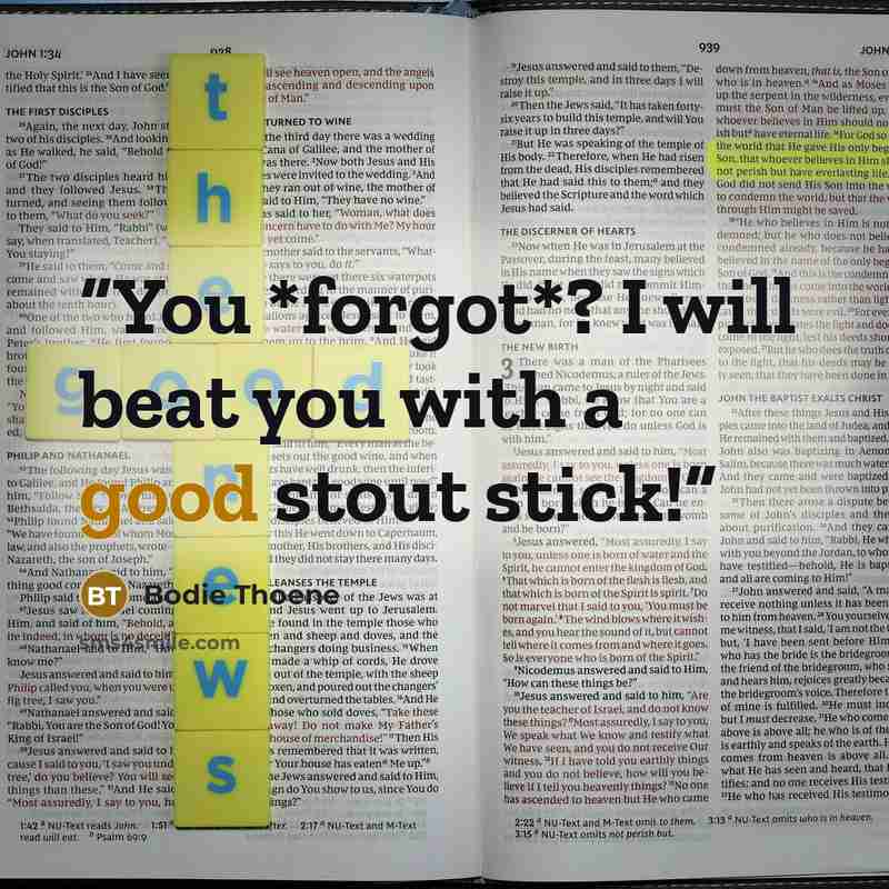“You *forgot*? I will beat you with a good stout stick!” quote by Bodie Thoene