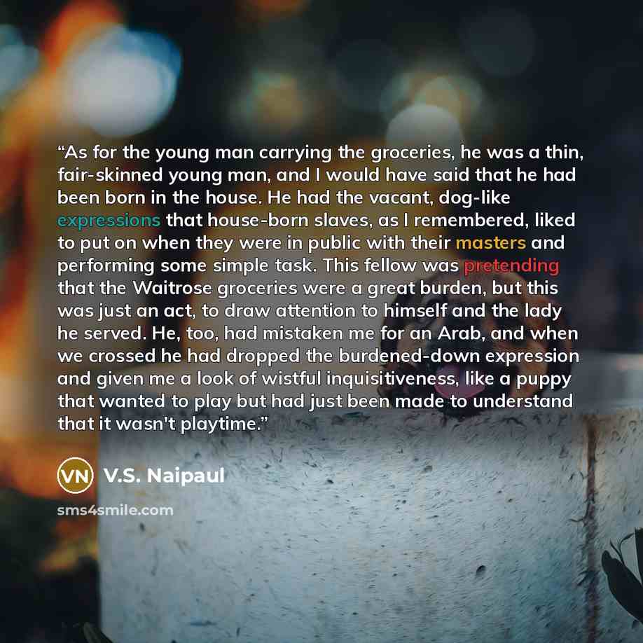“As for the young man carrying the groceries, he was a thin, fair-skinned young man, and I would have said that he had been born in the house. He had the vacant, dog-like expressions that house-born slaves, as I remembered, liked to put on when they were in public with their masters and performing…” quote by V.S. Naipaul