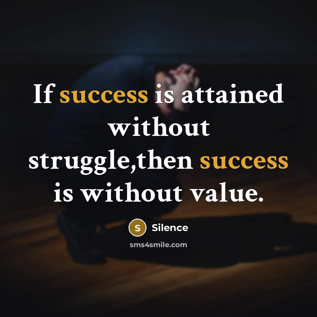 “If success is attained without struggle,then success is without value.” quote by Silence