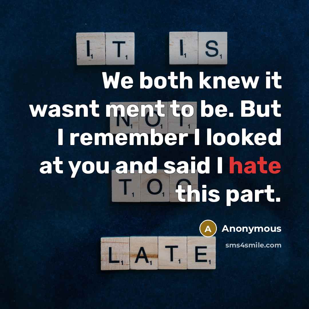“We both knew it wasnt ment to be. But I remember I looked at you and said I hate this part.” quote by Anonymous