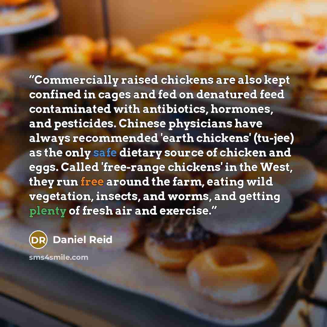 “Commercially raised chickens are also kept confined in cages and fed on denatured feed contaminated with antibiotics, hormones, and pesticides. Chinese physicians have always recommended 'earth chickens' (tu-jee) as the only safe dietary source of chicken and eggs. Called 'free-range chickens' in…” quote by Daniel Reid