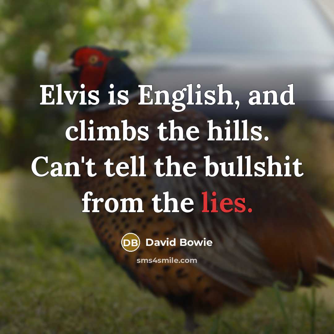 “Elvis is English, and climbs the hills. Can't tell the bullshit from the lies.” quote by David Bowie
