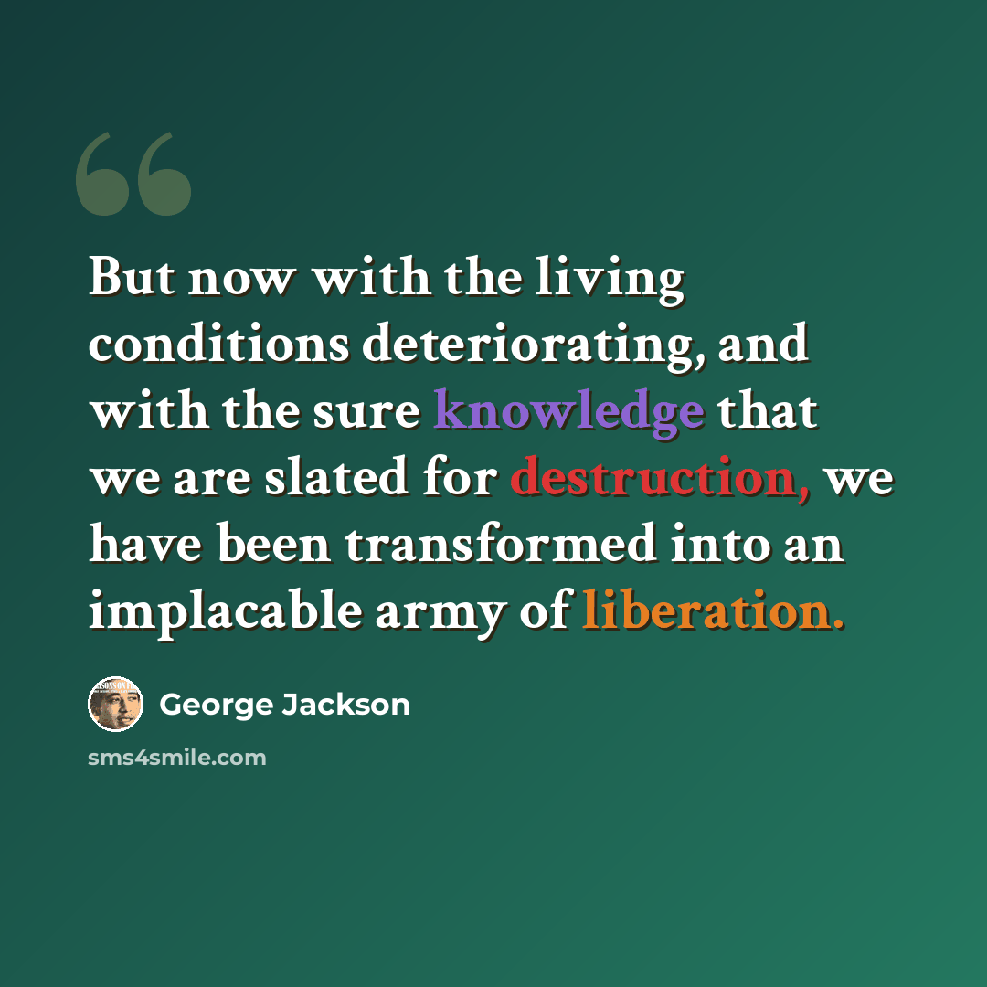 “But now with the living conditions deteriorating, and with the sure knowledge that we are slated for destruction, we have been transformed into an implacable army of liberation.” quote by George Jackson