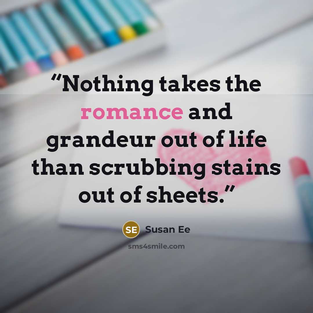 “Nothing takes the romance and grandeur out of life than scrubbing stains out of sheets.” quote by Susan Ee