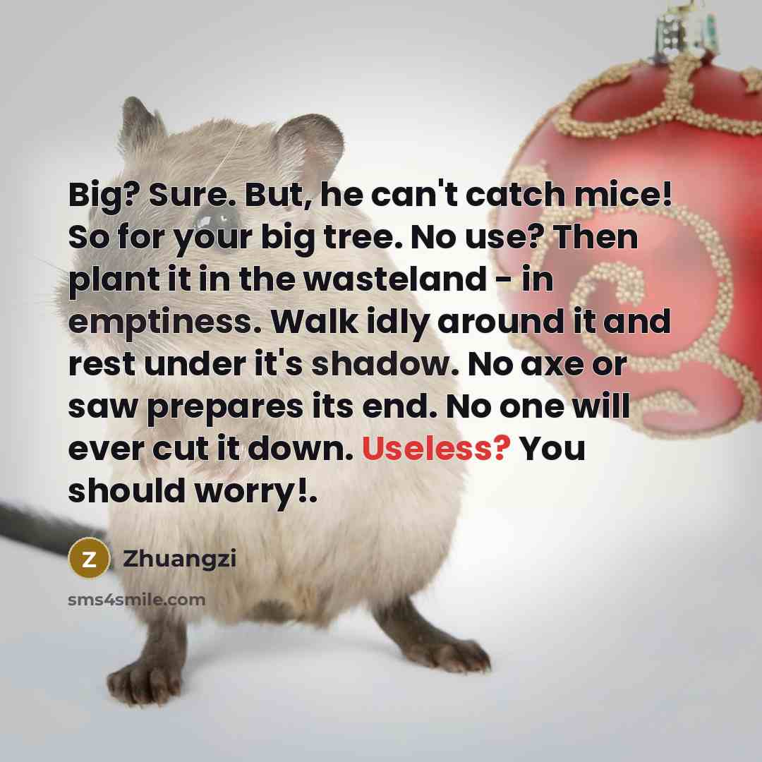 “Big? Sure. But, he can't catch mice! So for your big tree. No use? Then plant it in the wasteland - in emptiness. Walk idly around it and rest under it's shadow. No axe or saw prepares its end. No one will ever cut it down. Useless? You should worry!.” quote by Zhuangzi