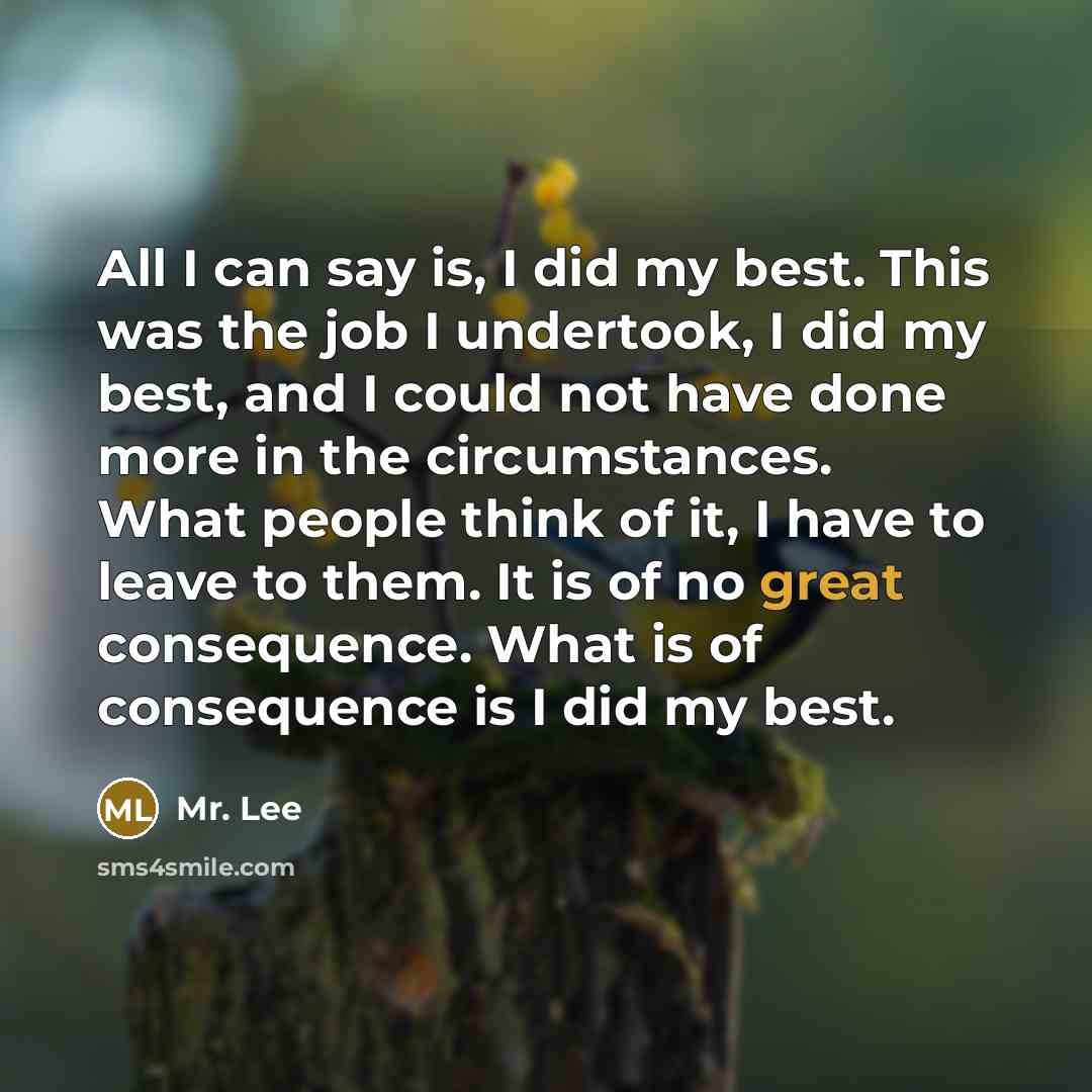 “All I can say is, I did my best. This was the job I undertook, I did my best, and I could not have done more in the circumstances. What people think of it, I have to leave to them. It is of no great consequence. What is of consequence is I did my best.” quote by Mr. Lee