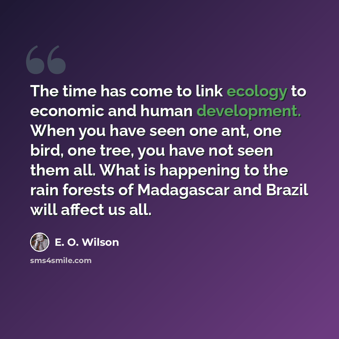 “The time has come to link ecology to economic and human development. When you have seen one ant, one bird, one tree, you have not seen them all. What is happening to the rain forests of Madagascar and Brazil will affect us all.” quote by E. O. Wilson