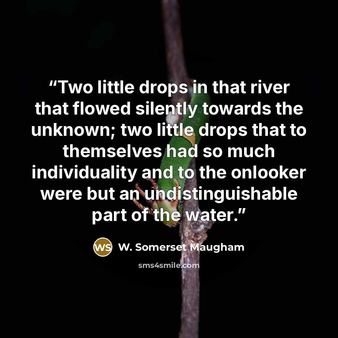 “Two little drops in that river that flowed silently towards the unknown; two little drops that to themselves had so much individuality and to the onlooker were but an undistinguishable part of the water.” quote by W. Somerset Maugham