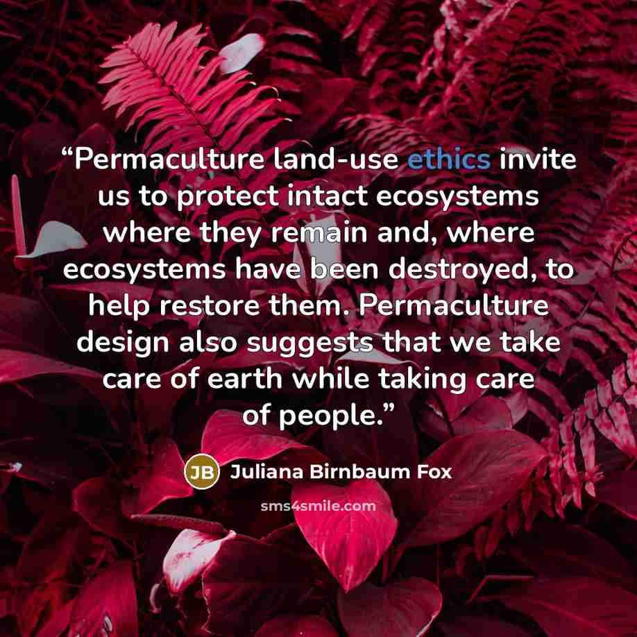 “Permaculture land-use ethics invite us to protect intact ecosystems where they remain and, where ecosystems have been destroyed, to help restore them. Permaculture design also suggests that we take care of earth while taking care of people.” quote by Juliana Birnbaum Fox
