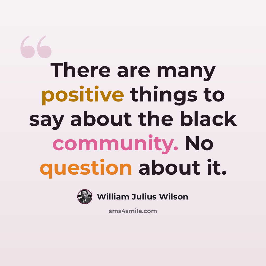 “There are many positive things to say about the black community. No question about it.” quote by William Julius Wilson