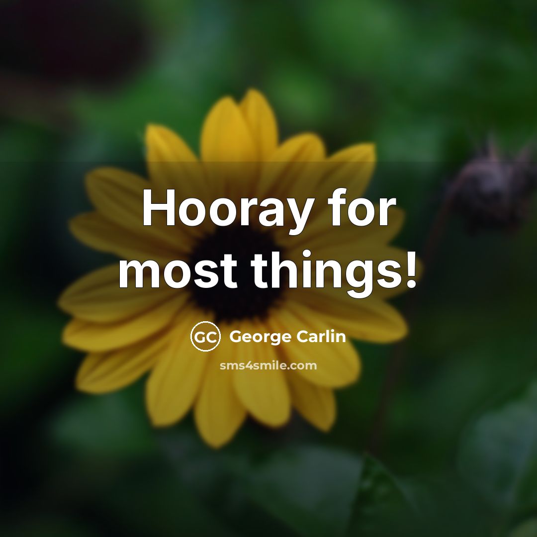 “Hooray for most things!” quote by George Carlin