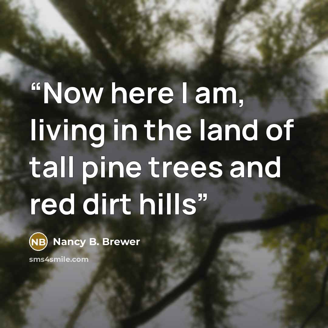 “Now here I am, living in the land of tall pine trees and red dirt hills” quote by Nancy B. Brewer