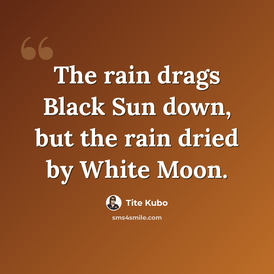 “The rain drags Black Sun down, but the rain dried by White Moon.” quote by Tite Kubo