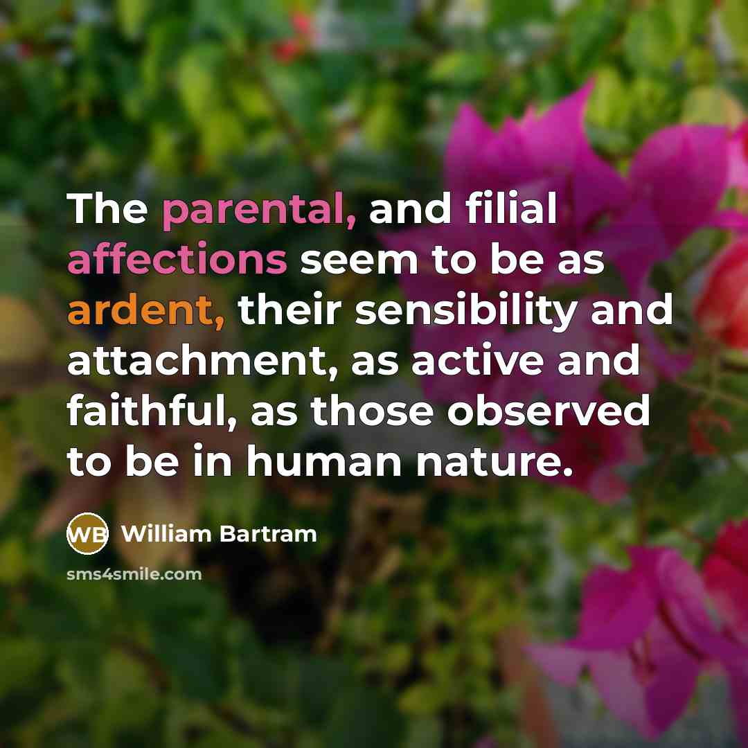 “The parental, and filial affections seem to be as ardent, their sensibility and attachment, as active and faithful, as those observed to be in human nature.” quote by William Bartram