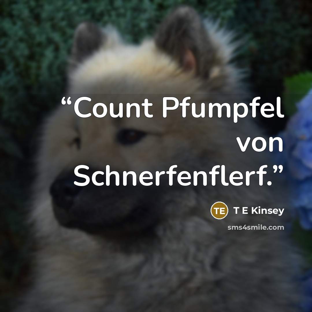 “Count Pfumpfel von Schnerfenflerf.” quote by T E Kinsey