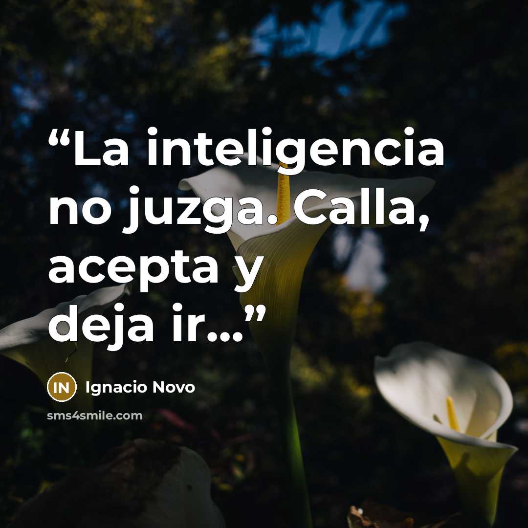 “La inteligencia no juzga. Calla, acepta y deja ir...” quote by Ignacio Novo