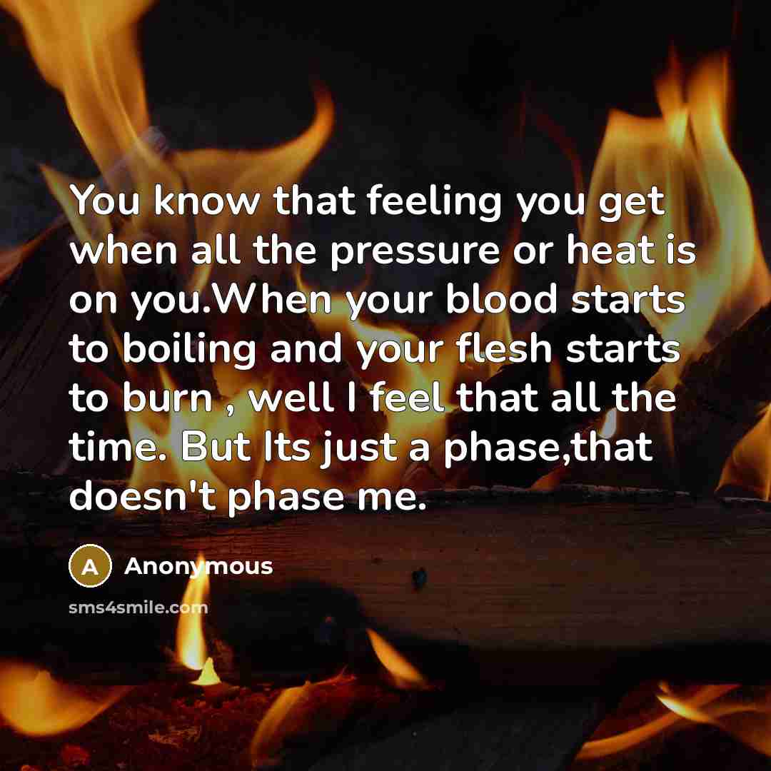 “You know that feeling you get when all the pressure or heat is on you.When your blood starts to boiling and your flesh starts to burn , well I feel that all the time. But Its just a phase,that doesn't phase me.” quote by Anonymous